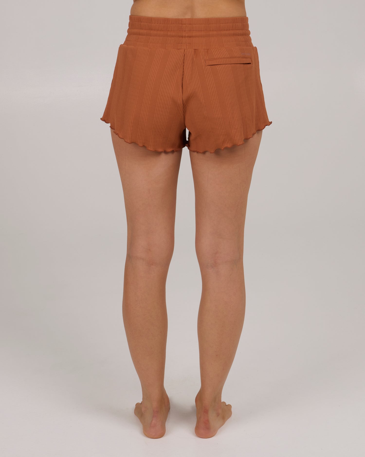 back view of Seafarer Swim Short - Sierra